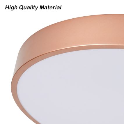 Brilagi - LED-Deckenleuchte POOL LED/48W/230V 3000/4000/6000K Ø 40 cm bronzefarben