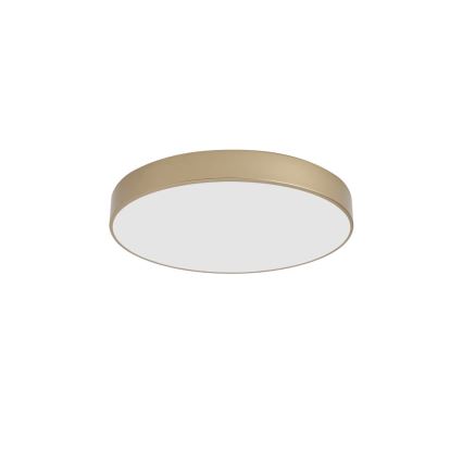 Brilagi - LED-Deckenleuchte POOL LED/60W/230V 3000/4000/6000K Ø 50 cm goldfarben