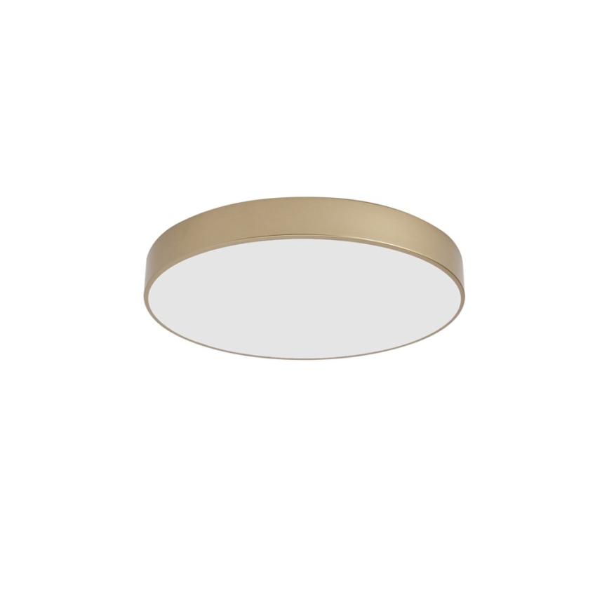 Brilagi - LED-Deckenleuchte POOL LED/60W/230V 3000/4000/6000K Ø 50 cm goldfarben