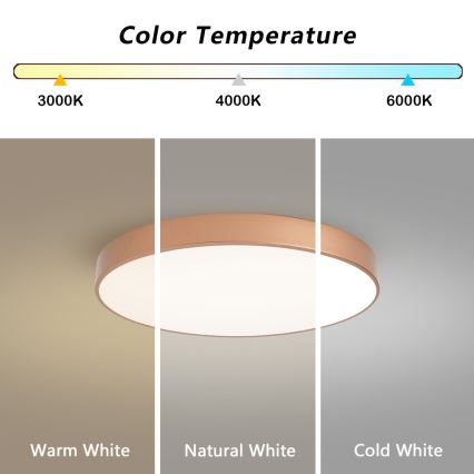 Brilagi - LED-Deckenleuchte POOL LED/60W/230V 3000/4000/6000K Ø 60 cm Bronze
