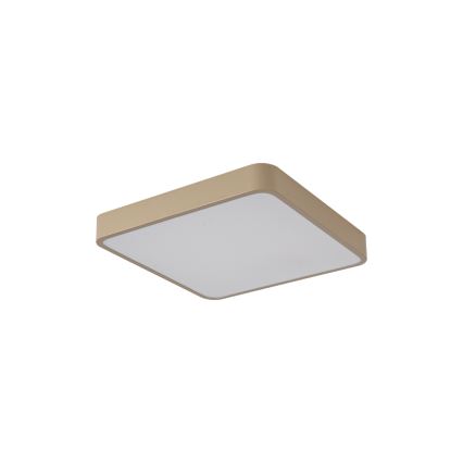 BRILAGI - LED-Deckenleuchte POOL SQUARE LED/36W/230V 3000/4000/6000K 40x40 cm beige