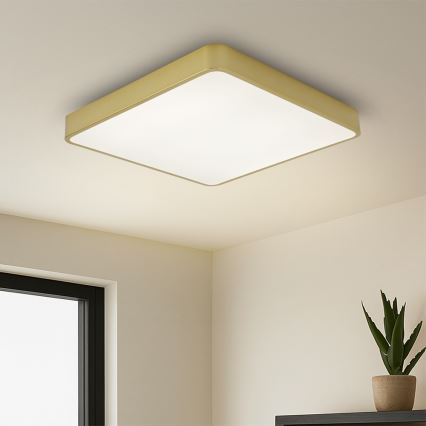 Brilagi - LED Deckenleuchte POOL SQUARE LED/36W/230V 3000/4000/6000K 40x40 cm goldfarben