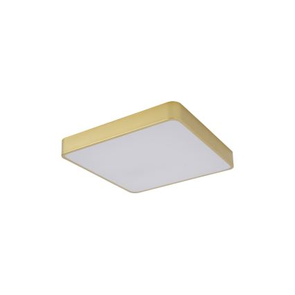 Brilagi - LED Deckenleuchte POOL SQUARE LED/36W/230V 3000/4000/6000K 40x40 cm goldfarben