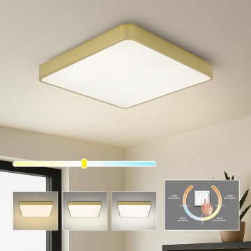 Brilagi - LED-Deckenleuchte POOL SQUARE LED/48W/230V 3000/4000/6000K 50x50 cm goldfarben