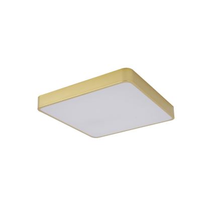 BRILAGI - LED-Deckenleuchte POOL SQUARE LED/48W/230V 3000/4000/6000K 50x50 cm goldfarben