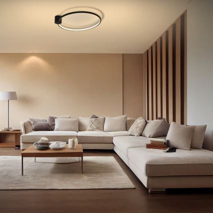 Brilagi - LED-Deckenleuchte RINGO LED/18W/230V Ø 50 cm