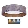 Brilagi - LED Deckenleuchte VELVET LED/24W/230V Ø 40 cm 3000/4000/6400K grau/gold