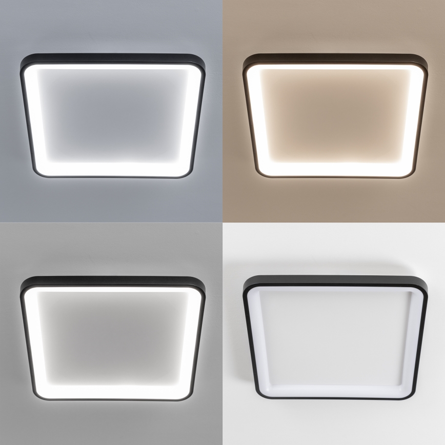 Brilagi - dimmbare LED-Deckenleuchte FALCON SLIM LED/50W/230V 3000-6500K 50x50 cm schwarz + Fernbedienung