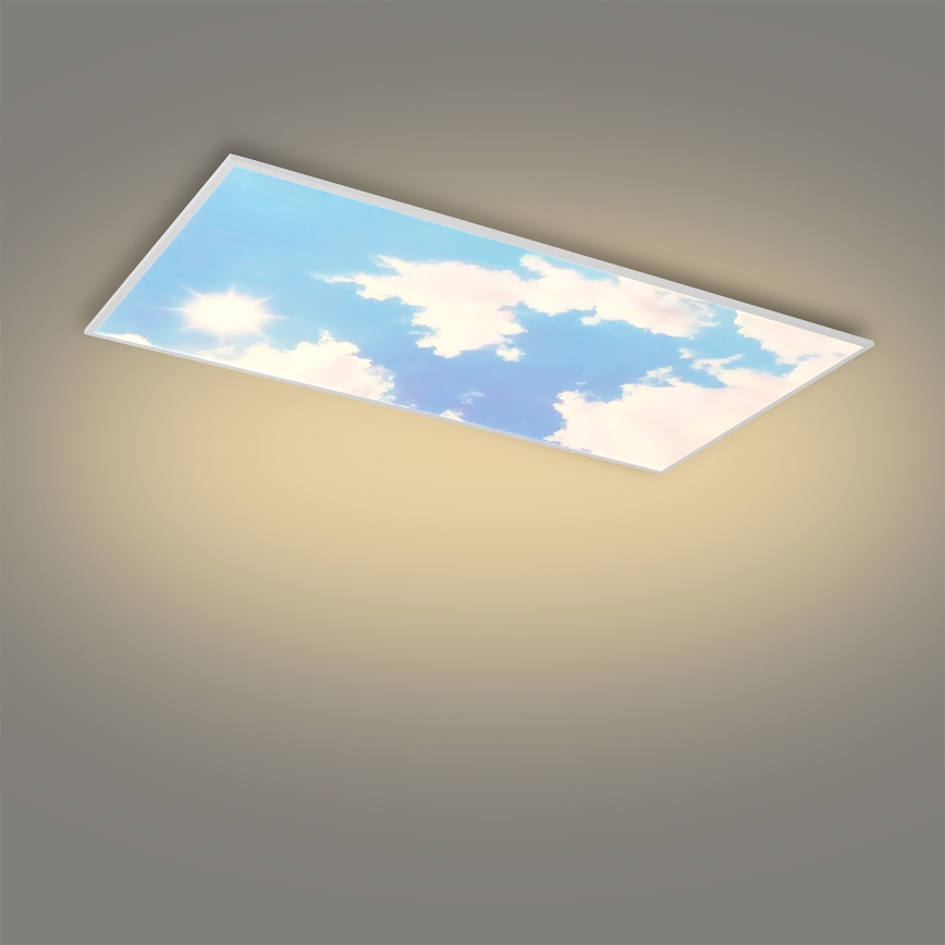 Brilagi - LED-dimmbare Deckenleuchte SLIMFRAME LED/80W/230V 120x60 cm 3000-6000K silber/blau + Fernbedienung