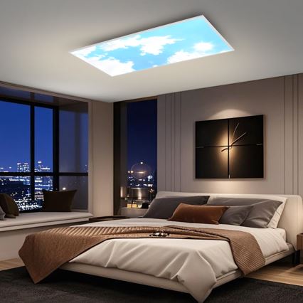 Brilagi - LED-dimmbare Deckenleuchte SLIMFRAME LED/80W/230V 120x60 cm 3000-6000K silber/blau + Fernbedienung