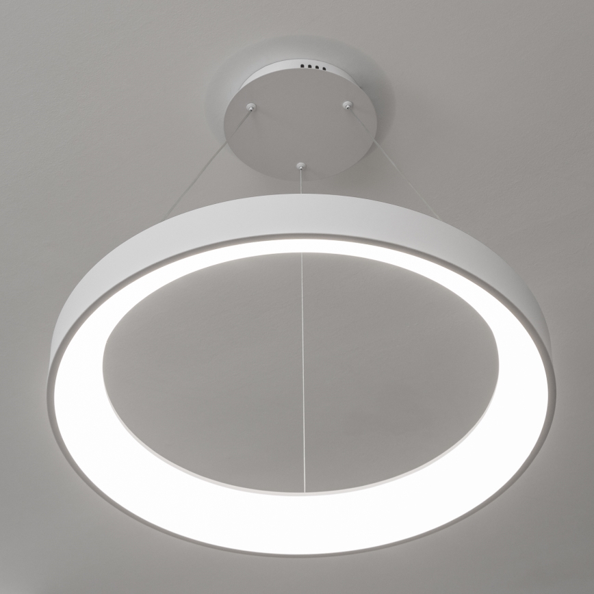 Brilagi - LED-dimmbare Pendelleuchte mit Seilaufhängung FALCON II LED/99W/230V 3000-6500K Ø 60 cm weiß + Fernbedienung