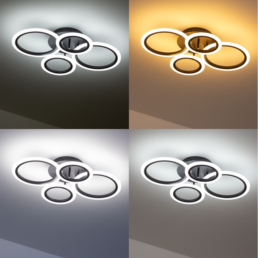 Brilagi - LED-dimmbare aufgesetzte Deckenleuchte ORBITS LED/50W/230V 3000-6500K schwarz + Fernbedienung