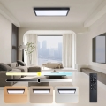 Brilagi - LED Dimmbare Badezimmer-Deckenleuchte FRAME SMART LED/30W/230V 30x60 cm 3000-6000K schwarz + Fernbedienung