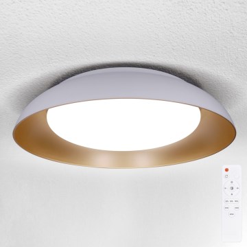 Brilagi - LED dimmbare Deckenleuchte ALVA LED/48W/230V 3000-6500K Ø 51 cm Weiß + Fernbedienung