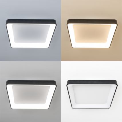 Brilagi - Dimmbare LED-Deckenleuchte FALCON II LED/125W/230V 3000-6500K 60x60 cm schwarz + Fernbedienung