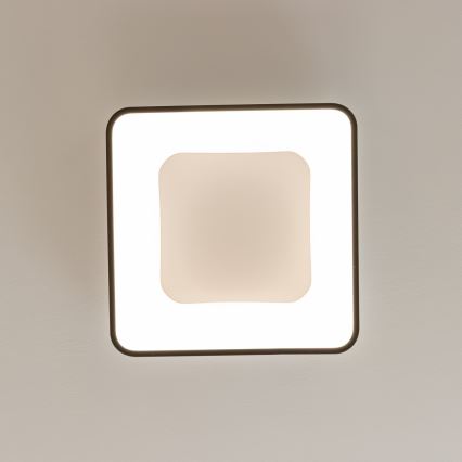 Brilagi - dimmbare LED-Deckenleuchte FALCON II LED/80W/230V 3000-6500K 40x40 cm schwarz + Fernbedienung