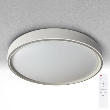 Brilagi - LED dimmbare Deckenleuchte NANCI LED/60W/230V 3000-6500K Ø 49 cm silber + Fernbedienung