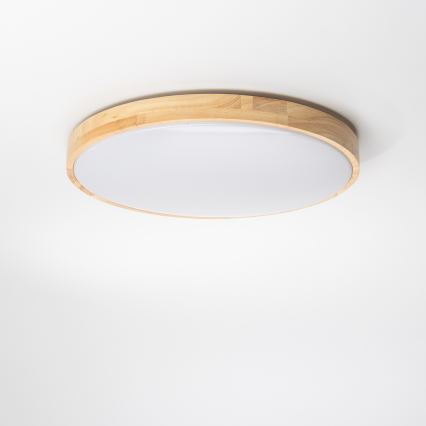Brilagi - LED dimmbare Deckenleuchte PINE LED/24W/230V + Fernbedienung