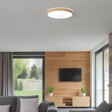 Brilagi - LED dimmbare Deckenleuchte PINE LED/24W/230V + Fernbedienung