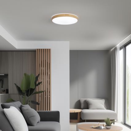 Brilagi - LED dimmbare Deckenleuchte PINE LED/24W/230V + Fernbedienung