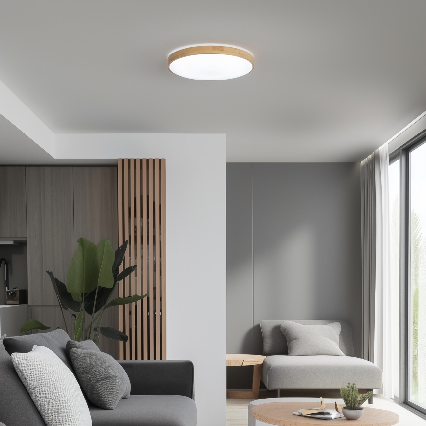 Brilagi - LED dimmbare Deckenleuchte PINE LED/24W/230V + Fernbedienung