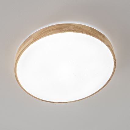 Brilagi - LED dimmbare Deckenleuchte PINE LED/24W/230V + Fernbedienung