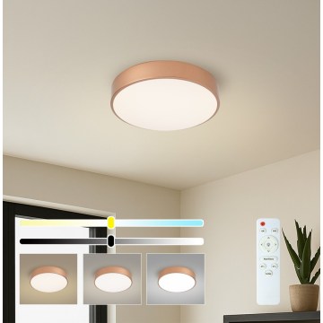 Brilagi - LED-dimmbare Deckenleuchte POOL LED/36W/230V 3000-6000K Ø 30 cm bronzefarben + mit Fernbedienung