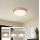 Brilagi - LED-dimmbare Deckenleuchte POOL LED/36W/230V 3000-6000K Ø 30 cm bronzefarben + mit Fernbedienung
