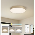 Brilagi - LED-dimmbare Deckenleuchte POOL SMART LED/60 W/230 V 3000–6000 K Ø 50 cm Wi-Fi Tuya gold + Fernbedienung