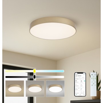 Brilagi - LED-dimmbare Deckenleuchte POOL SMART LED/60 W/230 V 3000–6000 K Ø 50 cm Wi-Fi Tuya gold + Fernbedienung