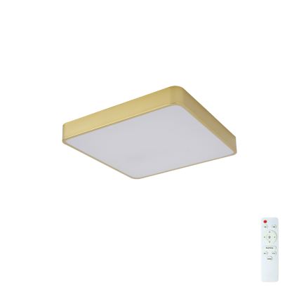 BRILAGI - dimmbare LED-Deckenleuchte POOL SQUARE LED/36W/230V 3000-6000K 40x40 cm goldfarben + mit Fernbedienung