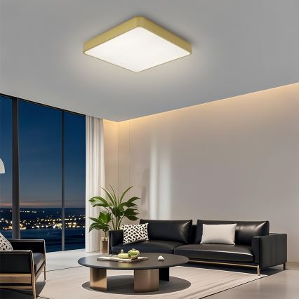 Brilagi - Dimmbare LED-Deckenleuchte POOL SQUARE LED/48W/230V 3000-6000K 50x50 cm goldfarben + Fernbedienung