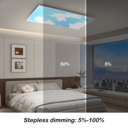 Brilagi - dimmbare LED-Deckenleuchte SLIMFRAME SKY LED/80W/230V 120x60 cm 3000-6000K silber/blau + Fernbedienung