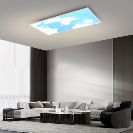 Brilagi - dimmbare LED-Deckenleuchte SLIMFRAME SKY LED/80W/230V 120x60 cm 3000-6000K silber/blau + Fernbedienung