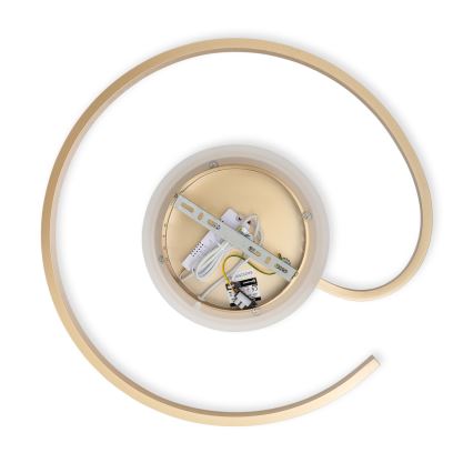 Brilagi - dimmbare LED-Deckenleuchte SPIRAL LED/56W/230V Ø 50 cm 3000/4000/6000K + Fernbedienung