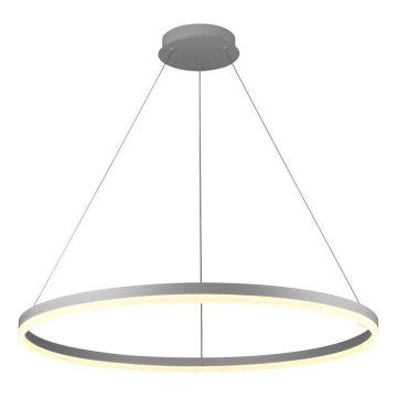 Brilagi - LED-dimmbare Hängeleuchte am Kabel CIRCLE LED/55W/230V 3000-6500K Ø 80 cm Silber + Fernbedienung