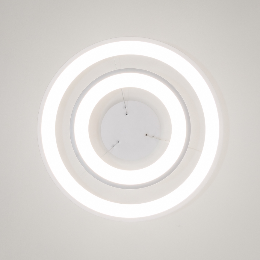 Brilagi - LED-dimmbare Pendelleuchte an Seil FALCON SLIM LED/68W/230V 3000-6500K Ø 50 cm weiß + Fernbedienung