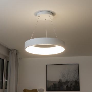 Brilagi - LED-dimmbare Hängeleuchte an Seil FALCON LED/40W/230V 3000-6500K Ø 45 cm weiß + Fernbedienung