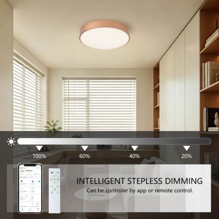 Brilagi - LED-dimmbare Deckenleuchte POOL SMART LED / 48 W / 230 V 3000–6000 K Ø 40 cm Wi-Fi Tuya Bronze + Fernbedienung