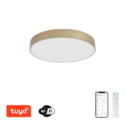 Brilagi - LED-dimmbare Deckenleuchte POOL SMART LED/60 W/230 V 3000–6000 K Ø 50 cm Wi-Fi Tuya gold + Fernbedienung
