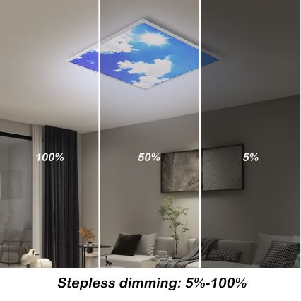 Brilagi - LED-dimmbare Deckenleuchte SLIMFRAME SKY LED/58W/230V 60x60 cm 3000-6000K silber/blau + Fernbedienung