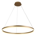 Brilagi - LED-dimmbare Pendelleuchte an Kabel CIRCLE LED/55W/230V 3000-6500K Ø 80 cm gold + Fernbedienung