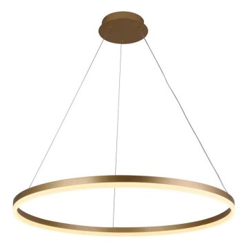 Brilagi - LED-dimmbare Pendelleuchte an Kabel CIRCLE LED/55W/230V 3000-6500K Ø 80 cm gold + Fernbedienung