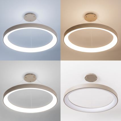 BRILAGI - LED dimmbarer Pendelleuchte an Kabel FALCON II LED/108W/230V 3000-6500K Ø 80 cm beige + Fernbedienung