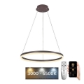 BRILAGI - LED dimmbare Pendelleuchte an Seil CIRCLE LED/42W/230V 3000-6500K Ø 60 cm braun + Fernbedienung