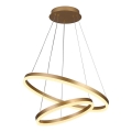 Brilagi - LED-dimmbare Pendelleuchte an Seil CIRCLE LED/70W/230V 3000-6500K Ø 60 cm gold + Fernbedienung