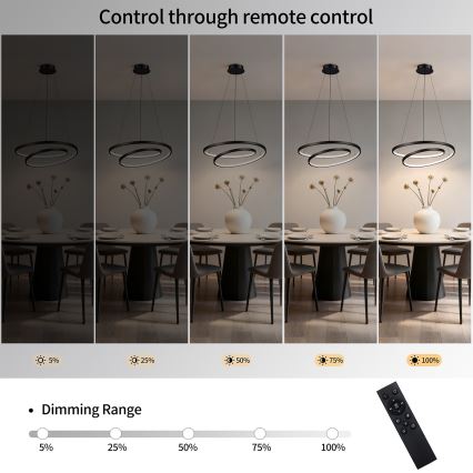 Brilagi - LED-dimmbare Pendelleuchte an Seil TWISTER LED/48W/230V 3000–6000K Ø 50 cm schwarz + Fernbedienung