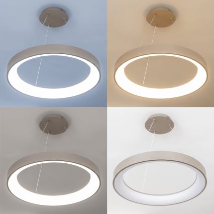BRILAGI - LED-dimmbare Pendelleuchte an Kabel FALCON II LED/99W/230V 3000-6500K Ø 60 cm beige + mit Fernbedienung