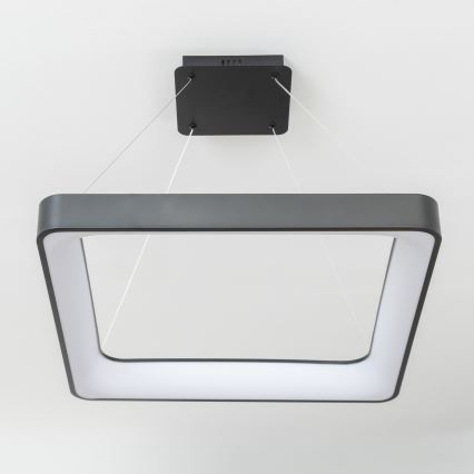 Brilagi - LED dimmbare Pendelleuchte mit Seilaufhängung FALCON II LED/125W/230V 3000-6500K 60x60 cm schwarz + Fernbedienung