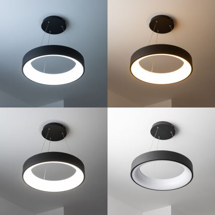 Brilagi - Dimmbare LED-Hängeleuchte mit Seilaufhängung FALCON LED/80W/230V 3000-6500K Ø 60 cm schwarz + Fernbedienung